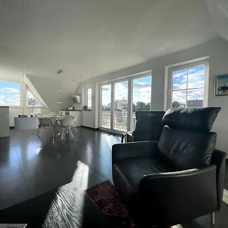 Austernfischer Im Hafenhaus