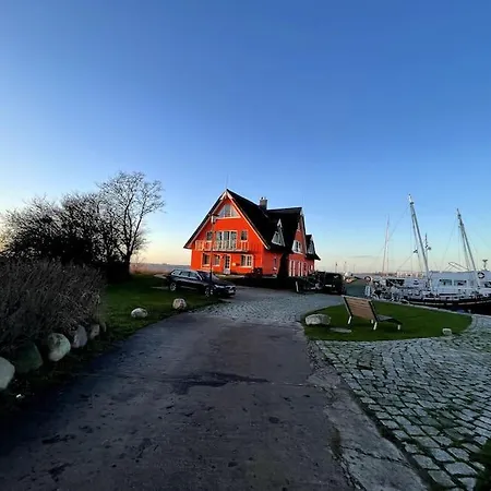 Austernfischer Im Hafenhaus
