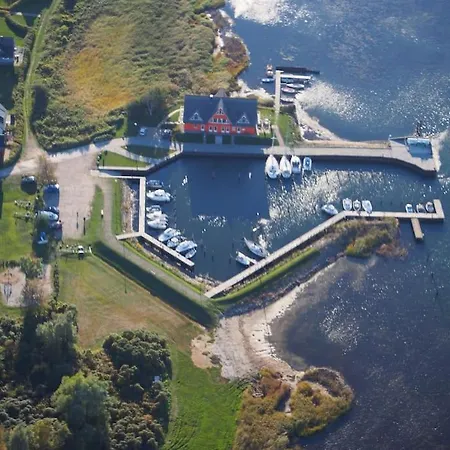 Austernfischer Im Hafenhaus Vieregge