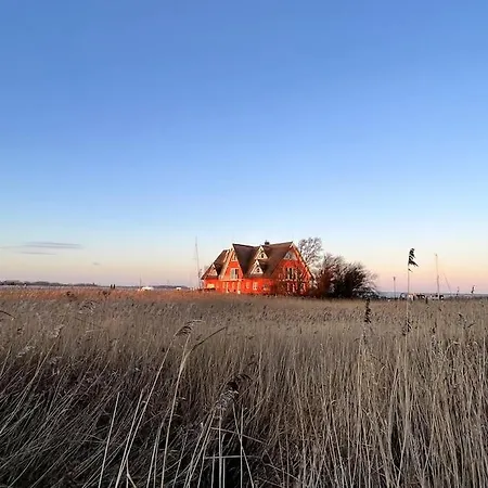 アパート Austernfischer Im Hafenhaus Vieregge