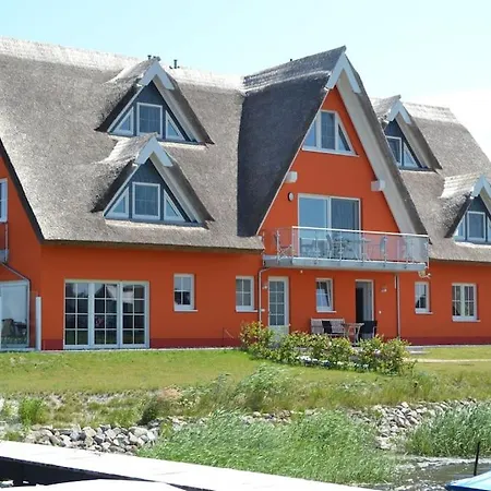 Austernfischer Im Hafenhaus Vieregge