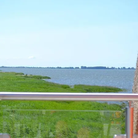 Austernfischer Im Hafenhaus *