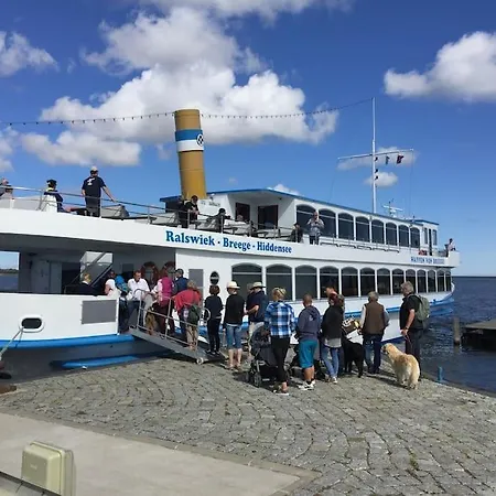 Austernfischer Im Hafenhaus