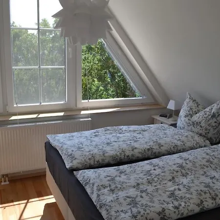 Austernfischer Im Hafenhaus