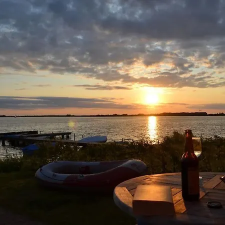 Austernfischer Im Hafenhaus